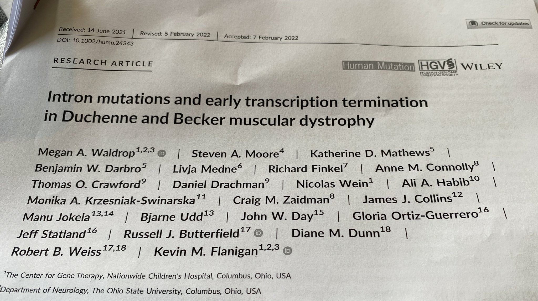Intron mutations and early transcription termination in Duchenne and Becker muscular dystrophy