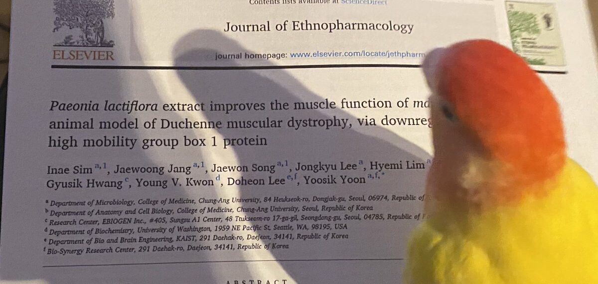 Today’s paper is about the anti-inflammatory properties of paeonia lactiflora in the mdx mouse model from the journal of ethnopharmacology.
