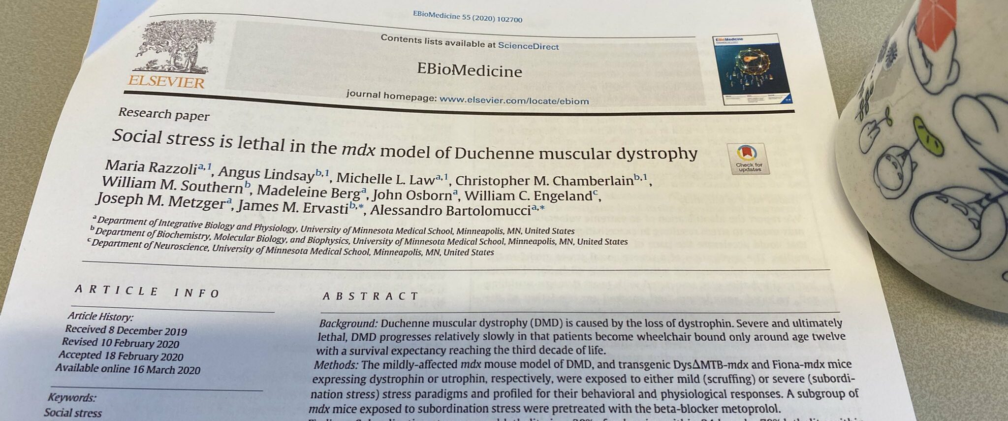 Social stress is lethal in the mdx model of Duchenne muscular dystrophy