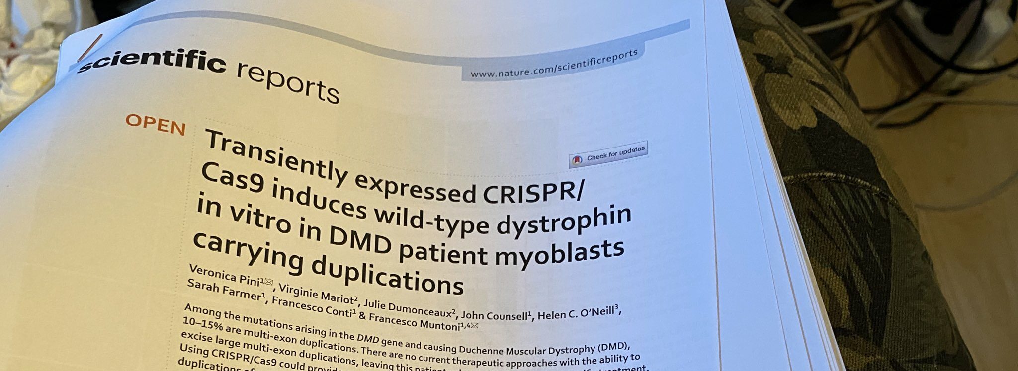 Transiently expressed CRISPR:Cas9 induces wild-type dystrophin in vitro in DMD patient myoblasts carrying duplications